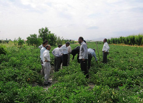  معرفی شهر فریدن(داران) 