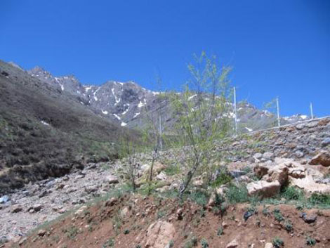  سر چشمه افوس 