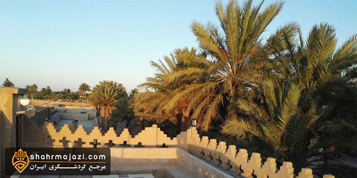  معرفی خوربیابانک 