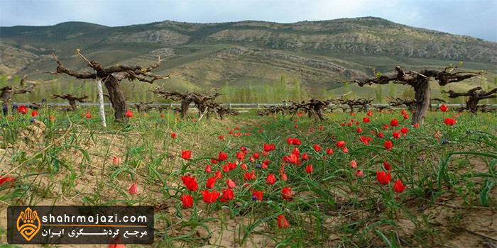  منطقه حفاظت شده ساریگل 