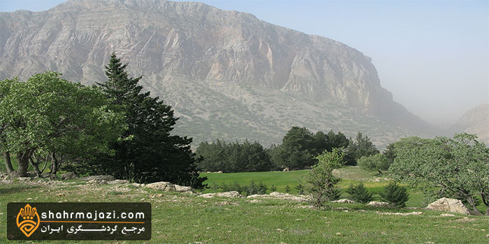  معرفی شهر بهمئی 