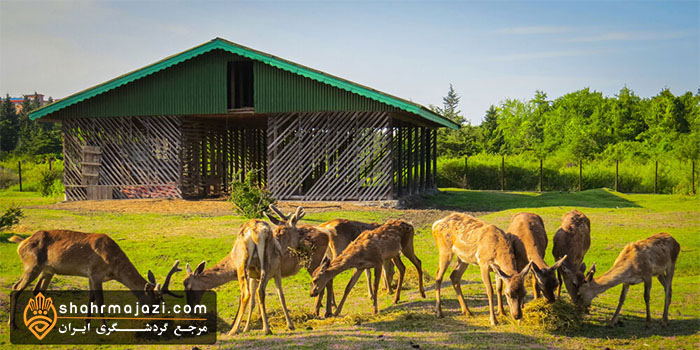  پناه گاه حیات وحش لوند ویل 