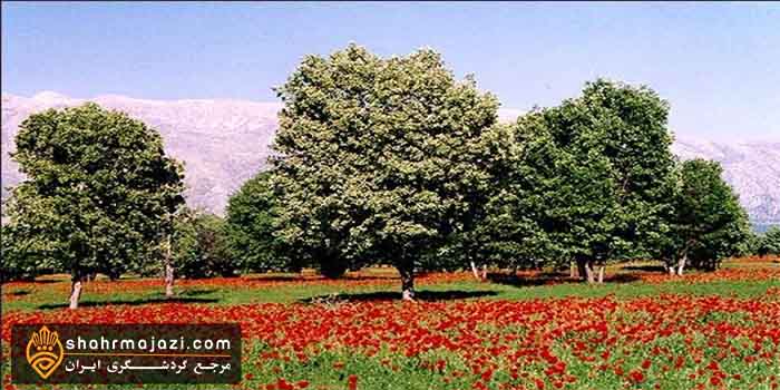  معرفی شهرستان زرین دشت 