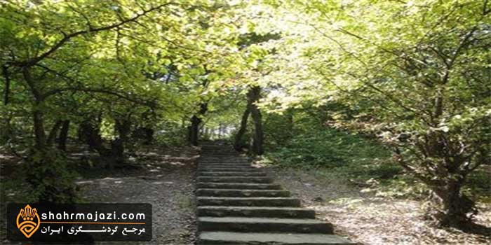  پارک جنگلی شهید زارع 