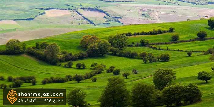  پناهگاه حیات وحش دشت ناز 