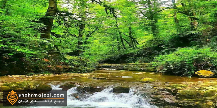  پارك ملي خشكه داران 