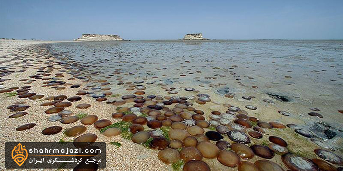 معرفی جزیره هندرابی