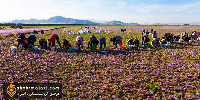  معرفی شهر زرند 